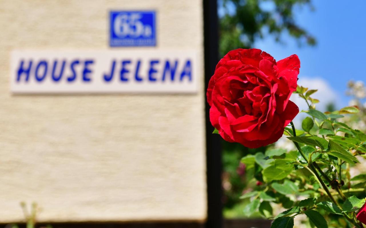 Апартаменти House Jelena Селище Дрежницько Екстер'єр фото